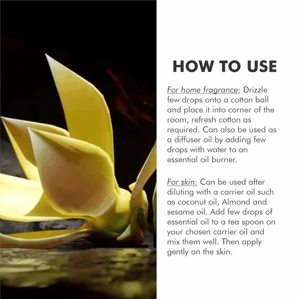 Dontika_Ylang_Ylang_Essential_Oil_??_Pack_Of_1,_10Ml_??_100%_Natural_Therapeutic_Grade