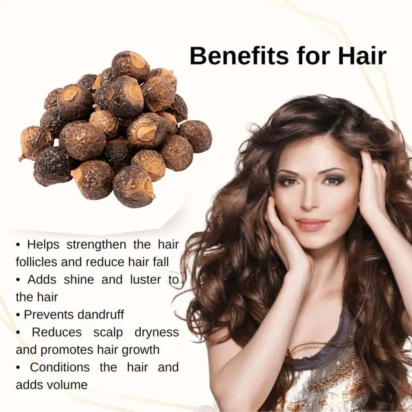 100%_Pure_Organic_Double_Filtered_Aritha/Reetha_(Sapindus_Trifoliatus)_Powder_|_100_Gm_|_Ayurvedic_Formula_||_For_Face,Skin_&_Hair_Care