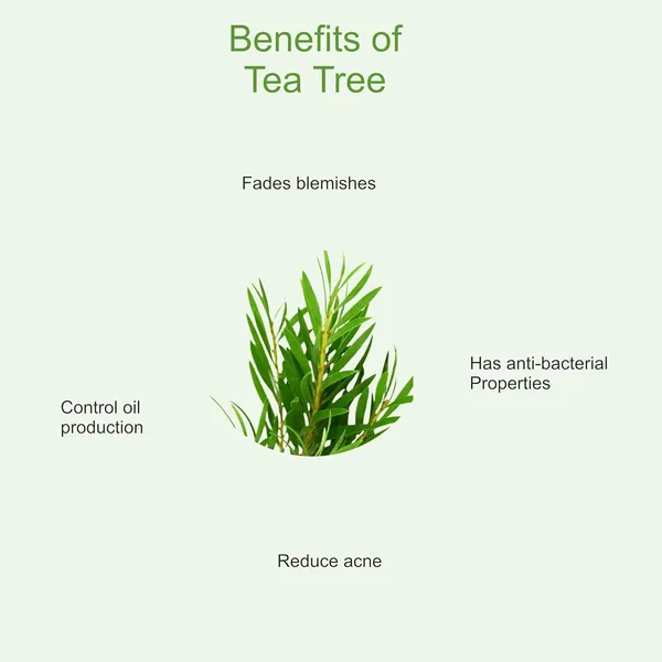 Ayurvedic_Tea_Tree_&_Lemon_Face_Serum_|_For_Acne_Prone_Skin_|_30_ml