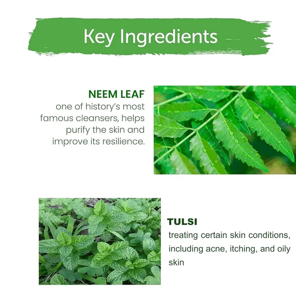 100%_Pure_Herbal_Ayurvedic_Natural_Natural_Neem_&_Tulsi_Herbal_Face_Wash_400Ml_Pack_Of_2