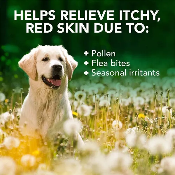 Shampoo_For_Dogs_And_Cats,_500_Ml_|_Tea_Tree_&_Aloe_Vera_Formula,_Soothes_Skin_Irritation_And_Protects_Skin_Health