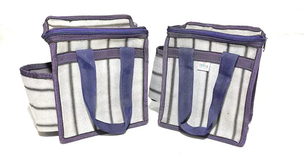Vulture_Grey_Daily_Use_Multipurpose_Lunch/School/Office_TiffinPolyester_Bag_With_Bottle_Pocket_(_8"X10"_)_(Pack_of_2_)