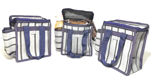 Vulture_Grey_Daily_Use_Multipurpose_Lunch/School/Office_TiffinPolyester_Bag_With_Bottle_Pocket_(_8"X10"_)_(Pack_of_3_)