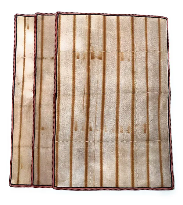 Spanish_Red_Washable_High_Water_Absorptance_Both_Side_Usable_Floor_Mate_Polyester_Woven_Fabric_(_16"X24"_)_(Pack_of_3_)