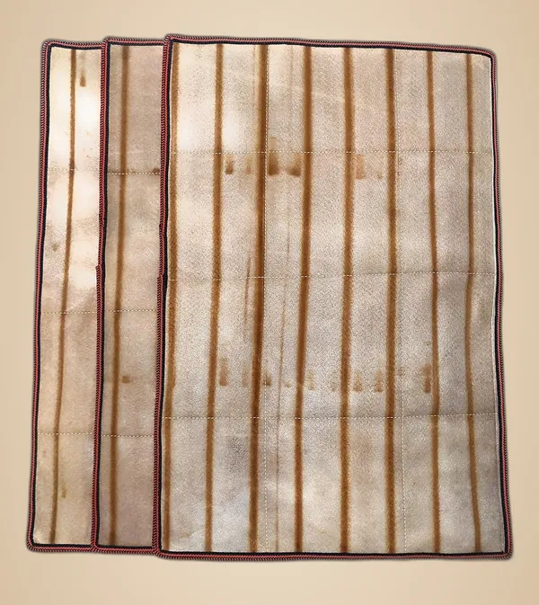 Spanish_Red_Washable_High_Water_Absorptance_Both_Side_Usable_Floor_Mate_Polyester_Woven_Fabric_(_16"X24"_)_(Pack_of_3_)