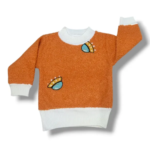 Round_Neck_Full_Sleeves_Pullover_Sweater_|_For_Baby_Girls_&_Baby_Boys