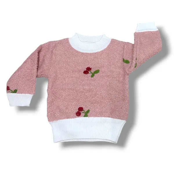 Round_Neck_Full_Sleeves_Pullover_Sweater_|_For_Baby_Girls_&_Baby_Boys