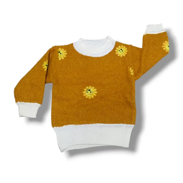 Round_Neck_Full_Sleeves_Pullover_Sweater_|_For_Baby_Girls_&_Baby_Boys