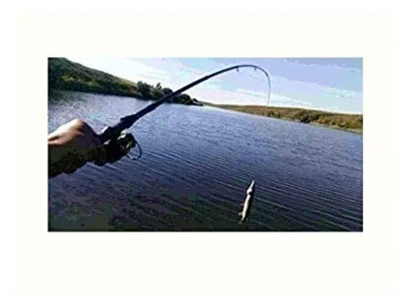 Carbon_Fiber_1.8m_2_Section_Spinning/Casting_Wooden_Handle_Fishing_Rod_-_Casting_Rod