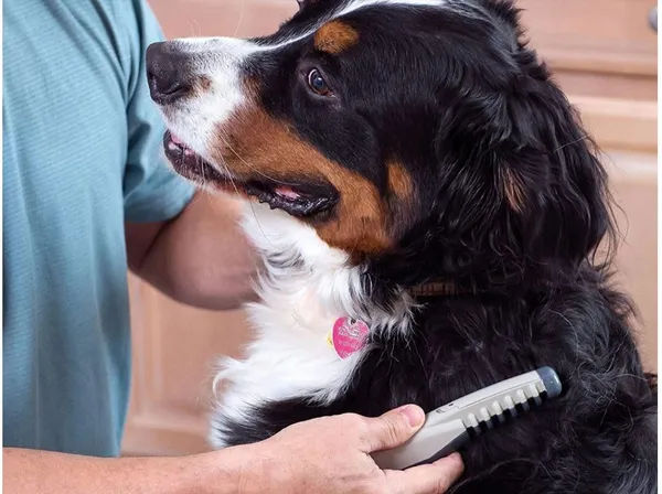 Electric_Pet_Dog_Cat_Hair_Trimmer_Knot_Out_Remove_Cutter_Clippers_Scissor_Grooming_Comb
