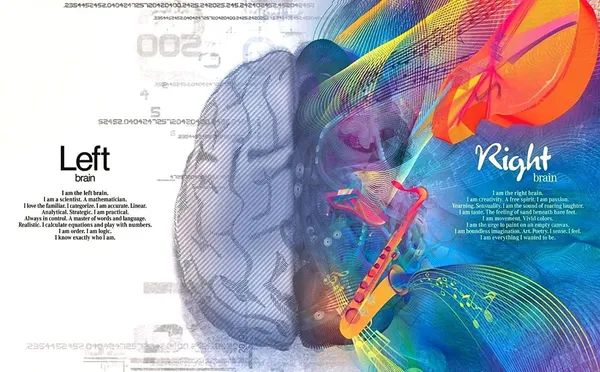 Left_Right_Brain_Themed_Laptop_Skin_Stickers_Hd_Quality_Sticker_For_Laptops_Upto_15.6_Inch