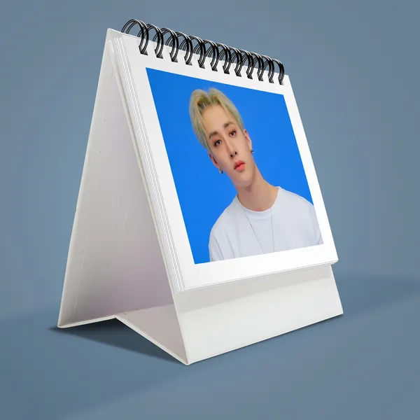 Multicolor_Stray_Kids_Desk_Photo_Album_(_Set_Of_1_)_24_Photos_(_Front-Back_)_Fine_Art_Print_(6.2_Inch_X_3.1_Inch)