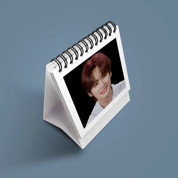 Multicolor_Stray_Kids_Desk_Photo_Album_(_Set_Of_1_)_24_Photos_(_Front-Back_)_Fine_Art_Print_(6.2_Inch_X_3.1_Inch)