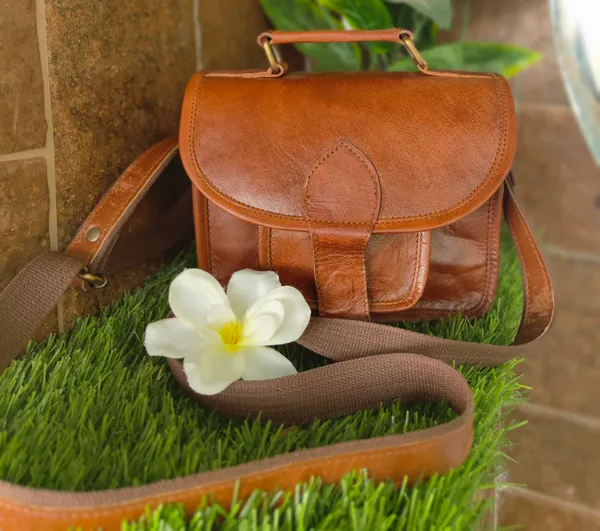 Brown_Genuine_Leather_Small_Crossbody_Purse_Daily_Used_Handbag_For_Women_(_6x8_inchs_)