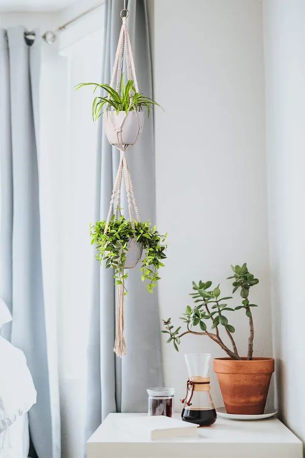 Beige_Macrame_Cotton_Plant_Hanger_|_Ceiling_Hook_Hanger,_Rope_Flower_Pot_Holder_For_Indoor_Outdoor_Balcony_Garden_|_Home_Decor_Flower_Planter_Hanging_Rope_[Pack_Of_1]