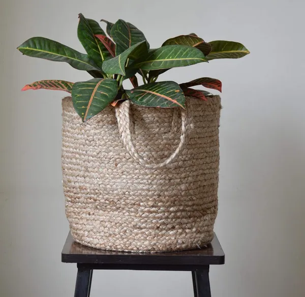 Brown_Modern_Jute_Planter,_Basket_/Plant_Pot_Cover_Storage_Basket,_For_Home_Office_Outdoor_Indoor_Gift_(Single_)(Height_30Cm,_Width_30_Cm)_Multi-Purpose_Use_For_Bathroom_Living_Room_10X12