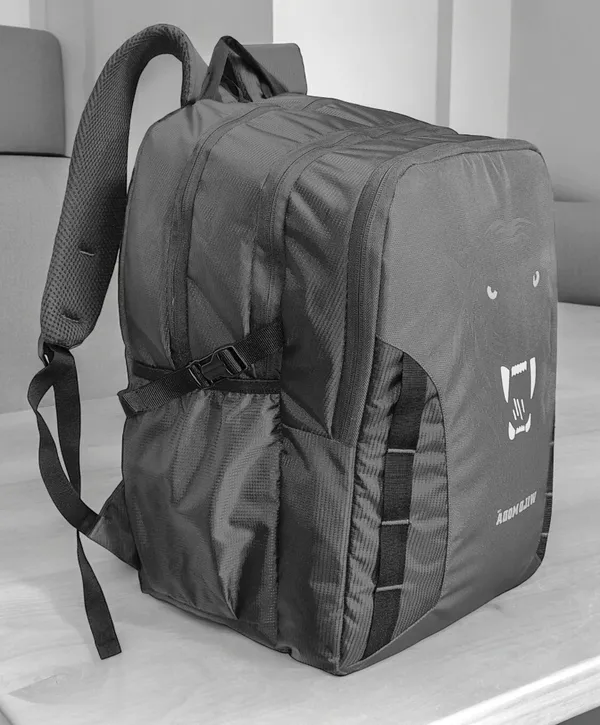 Grey_Polyester_Printed_Backpack_For_Boys_&_Girls_(20_X_12.5_X_8_In)