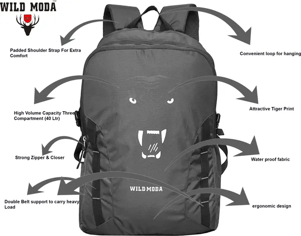 Grey_Polyester_Printed_Backpack_For_Boys_&_Girls_(20_X_12.5_X_8_In)