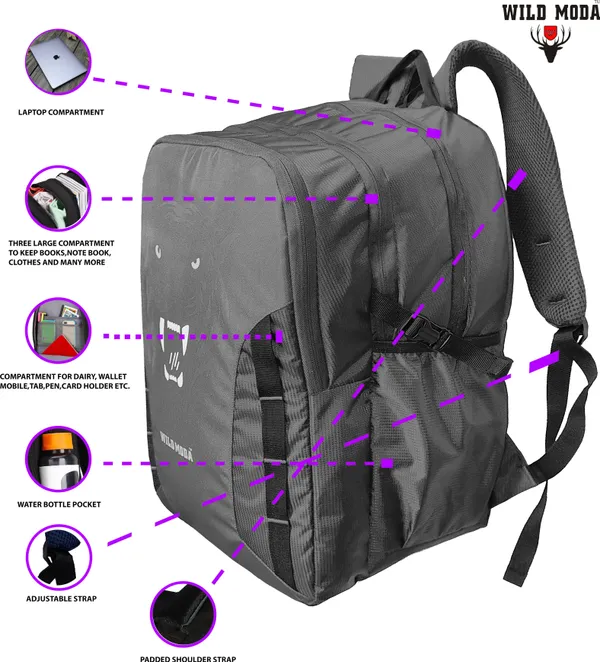Grey_Polyester_Printed_Backpack_For_Boys_&_Girls_(20_X_12.5_X_8_In)