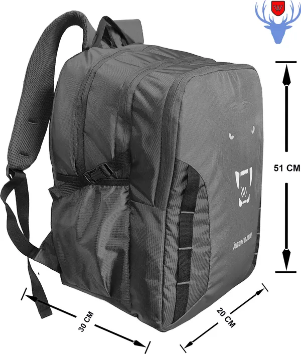 Grey_Polyester_Printed_Backpack_For_Boys_&_Girls_(20_X_12.5_X_8_In)