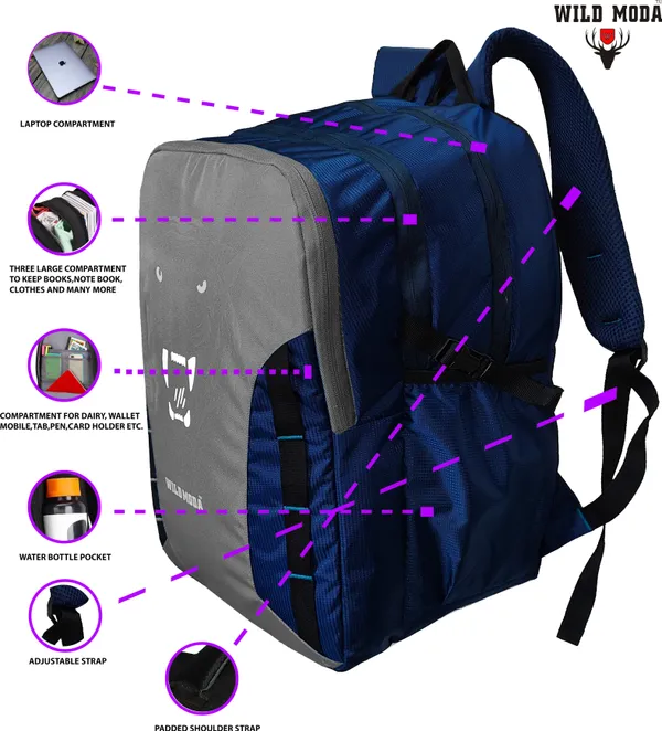Blue_&_Grey_Polyester_Printed_Backpack_For_Boys_&_Girls_(20_X_12.5_X_8_In)