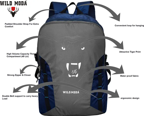 Blue_&_Grey_Polyester_Printed_Backpack_For_Boys_&_Girls_(20_X_12.5_X_8_In)