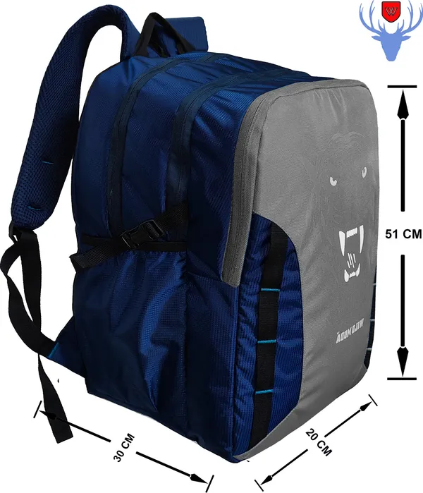 Blue_&_Grey_Polyester_Printed_Backpack_For_Boys_&_Girls_(20_X_12.5_X_8_In)