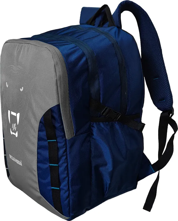 Blue_&_Grey_Polyester_Printed_Backpack_For_Boys_&_Girls_(20_X_12.5_X_8_In)