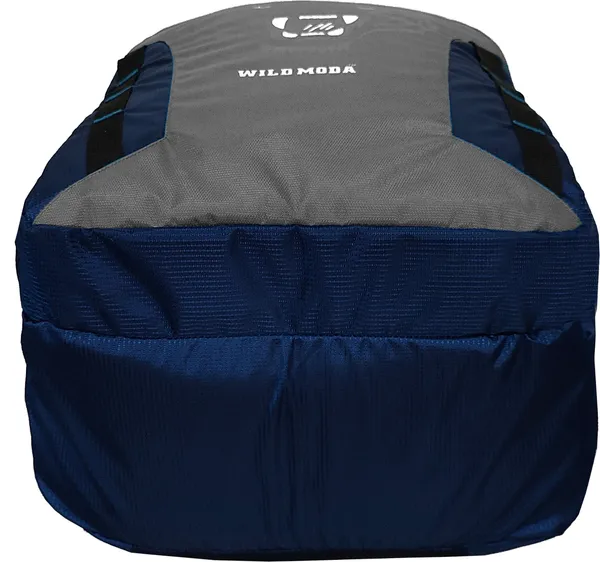 Blue_&_Grey_Polyester_Printed_Backpack_For_Boys_&_Girls_(20_X_12.5_X_8_In)