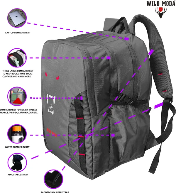 Grey_&_Red_Polyester_Printed_Backpack_For_Boys_&_Girls_(20_X_12.5_X_8_In)