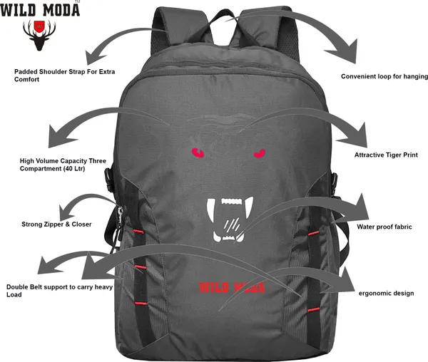 Grey_&_Red_Polyester_Printed_Backpack_For_Boys_&_Girls_(20_X_12.5_X_8_In)