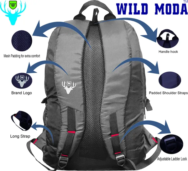 Grey_&_Red_Polyester_Printed_Backpack_For_Boys_&_Girls_(20_X_12.5_X_8_In)