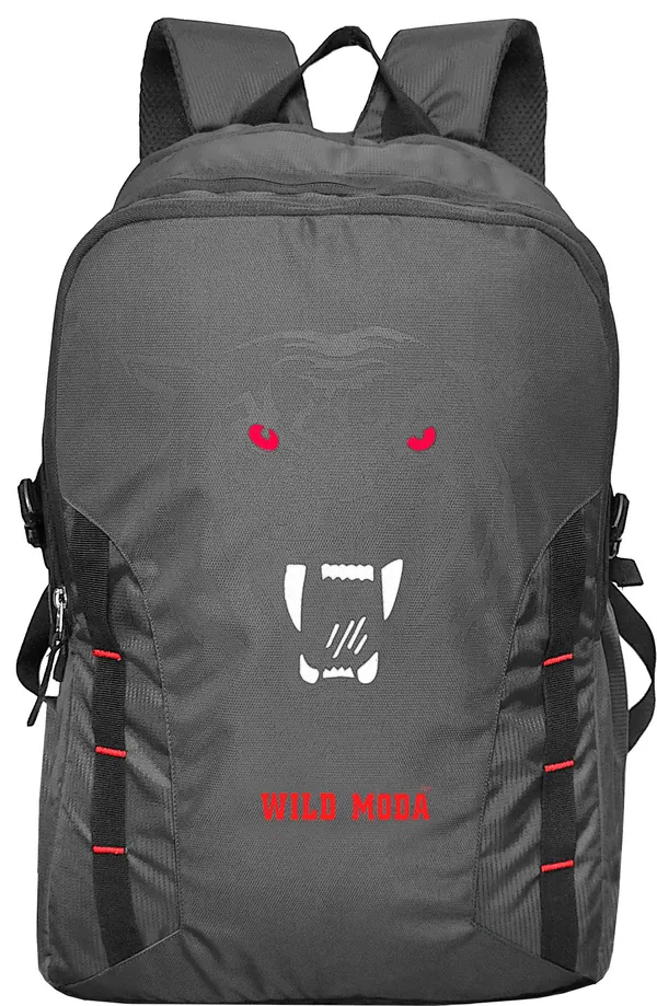Grey_&_Red_Polyester_Printed_Backpack_For_Boys_&_Girls_(20_X_12.5_X_8_In)