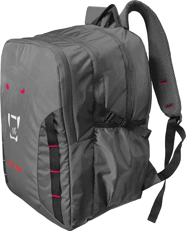 Grey_&_Red_Polyester_Printed_Backpack_For_Boys_&_Girls_(20_X_12.5_X_8_In)