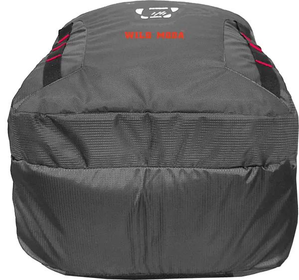 Grey_&_Red_Polyester_Printed_Backpack_For_Boys_&_Girls_(20_X_12.5_X_8_In)