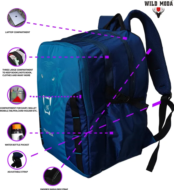 Blue_Polyester_Printed_Backpack_For_Boys_&_Girls_(20_X_12.5_X_8_In)