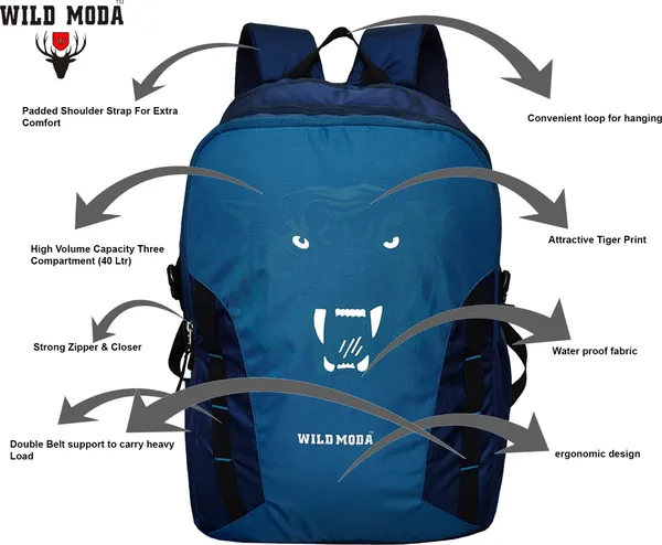 Blue_Polyester_Printed_Backpack_For_Boys_&_Girls_(20_X_12.5_X_8_In)