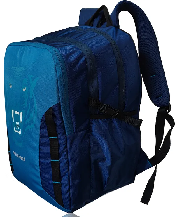 Blue_Polyester_Printed_Backpack_For_Boys_&_Girls_(20_X_12.5_X_8_In)