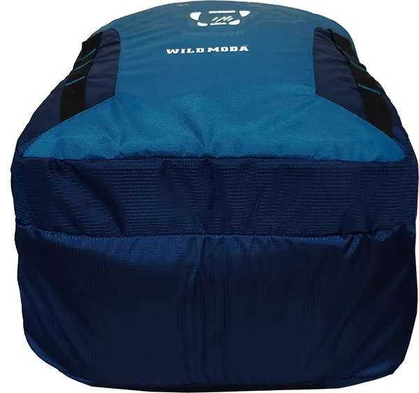Blue_Polyester_Printed_Backpack_For_Boys_&_Girls_(20_X_12.5_X_8_In)