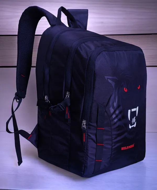 Blue_&_Red_Polyester_Printed_Backpack_For_Boys_&_Girls_(20_X_12.5_X_8_In)