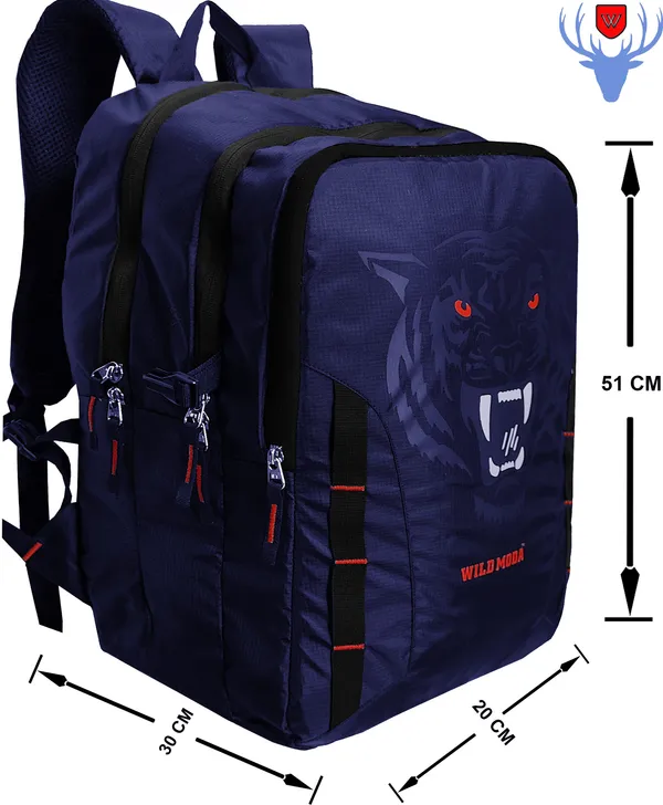 Blue_&_Red_Polyester_Printed_Backpack_For_Boys_&_Girls_(20_X_12.5_X_8_In)