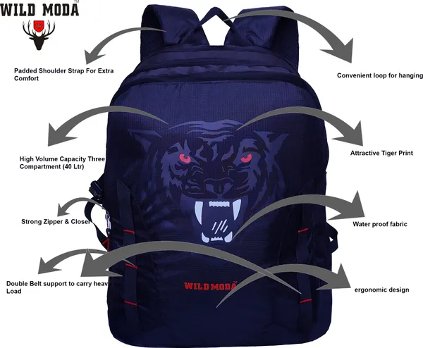 Blue_&_Red_Polyester_Printed_Backpack_For_Boys_&_Girls_(20_X_12.5_X_8_In)