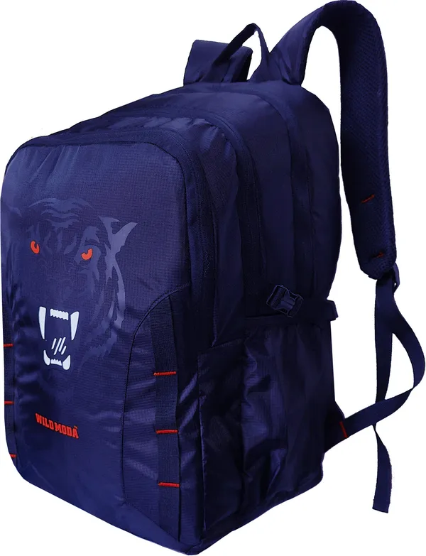 Blue_&_Red_Polyester_Printed_Backpack_For_Boys_&_Girls_(20_X_12.5_X_8_In)