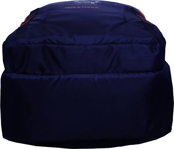 Blue_&_Red_Polyester_Printed_Backpack_For_Boys_&_Girls_(20_X_12.5_X_8_In)