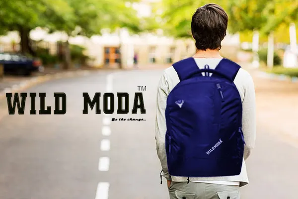 Blue_Polyester_Self_Design_Backpack_For_Boys_&_Girls_(19.5_X_12.5_X_5.5_In)