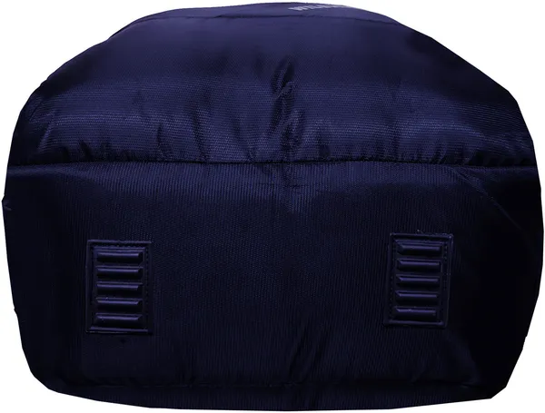Blue_Polyester_Self_Design_Backpack_For_Boys_&_Girls_(19.5_X_12.5_X_5.5_In)