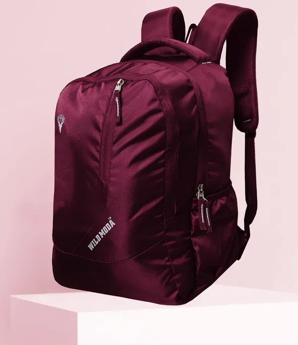 Maroon_Polyester_Self_Design_Backpack_For_Boys_&_Girls_(19.5_X_12.5_X_5.5_In)