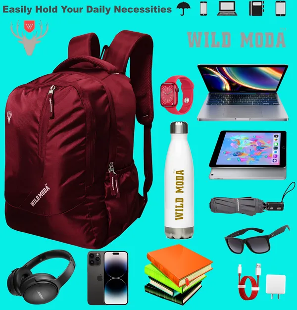 Maroon_Polyester_Self_Design_Backpack_For_Boys_&_Girls_(19.5_X_12.5_X_5.5_In)