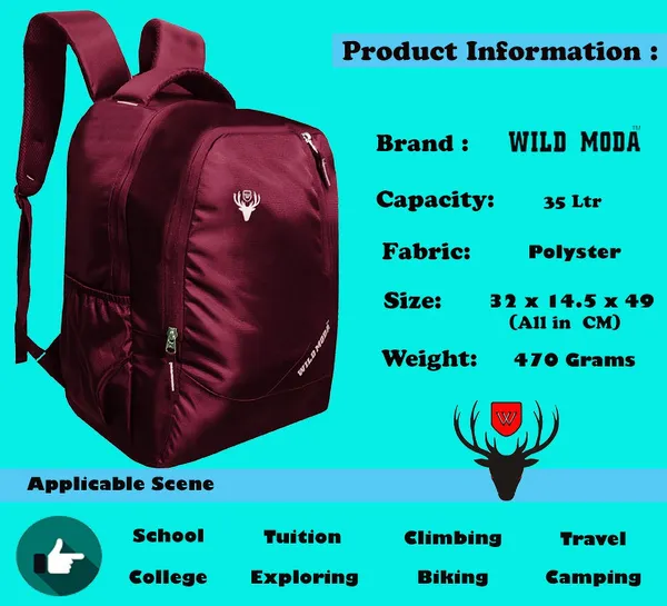 Maroon_Polyester_Self_Design_Backpack_For_Boys_&_Girls_(19.5_X_12.5_X_5.5_In)