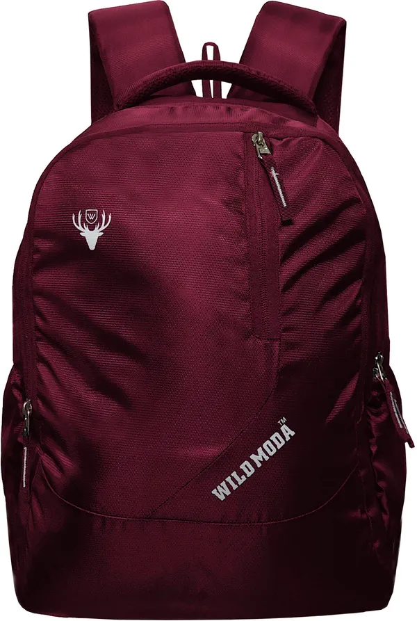 Maroon_Polyester_Self_Design_Backpack_For_Boys_&_Girls_(19.5_X_12.5_X_5.5_In)